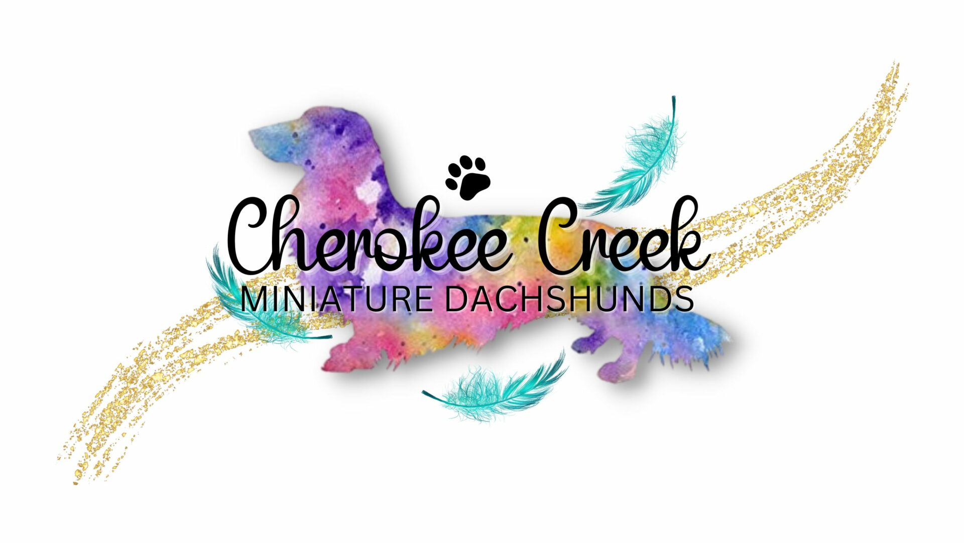 Cherokee Creek Miniature Dachshunds featured image