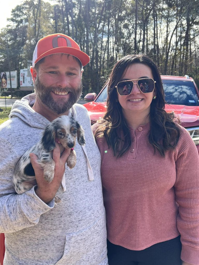 Boudoin family new mini dachshund puppy